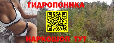 амф Пугачёв