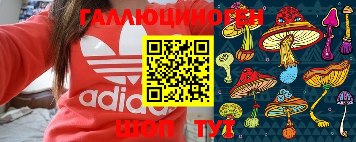 Псилоцибиновые грибы Psilocybe  Вход с VPN  Приморско-Ахтарск 